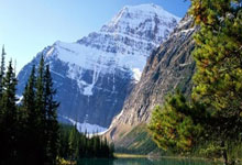 名将频频受伤，欧国联局势堪忧