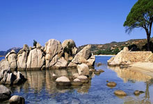 名将频频受伤，欧国联局势堪忧