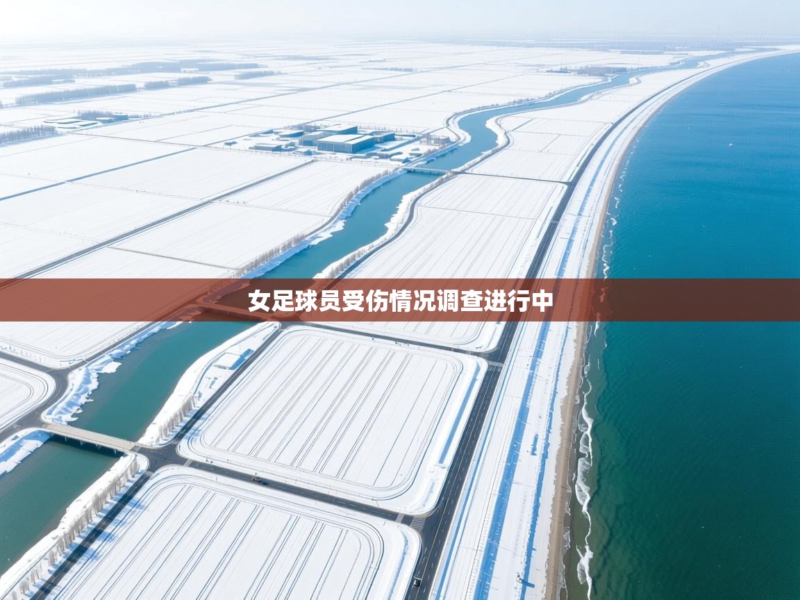女足球员受伤情况调查进行中